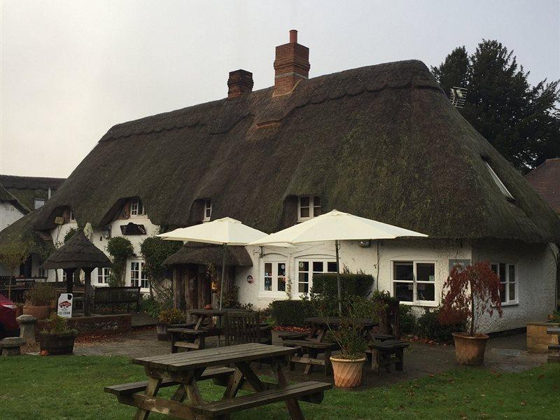 The Hatchet Inn Chute Eksteriør billede