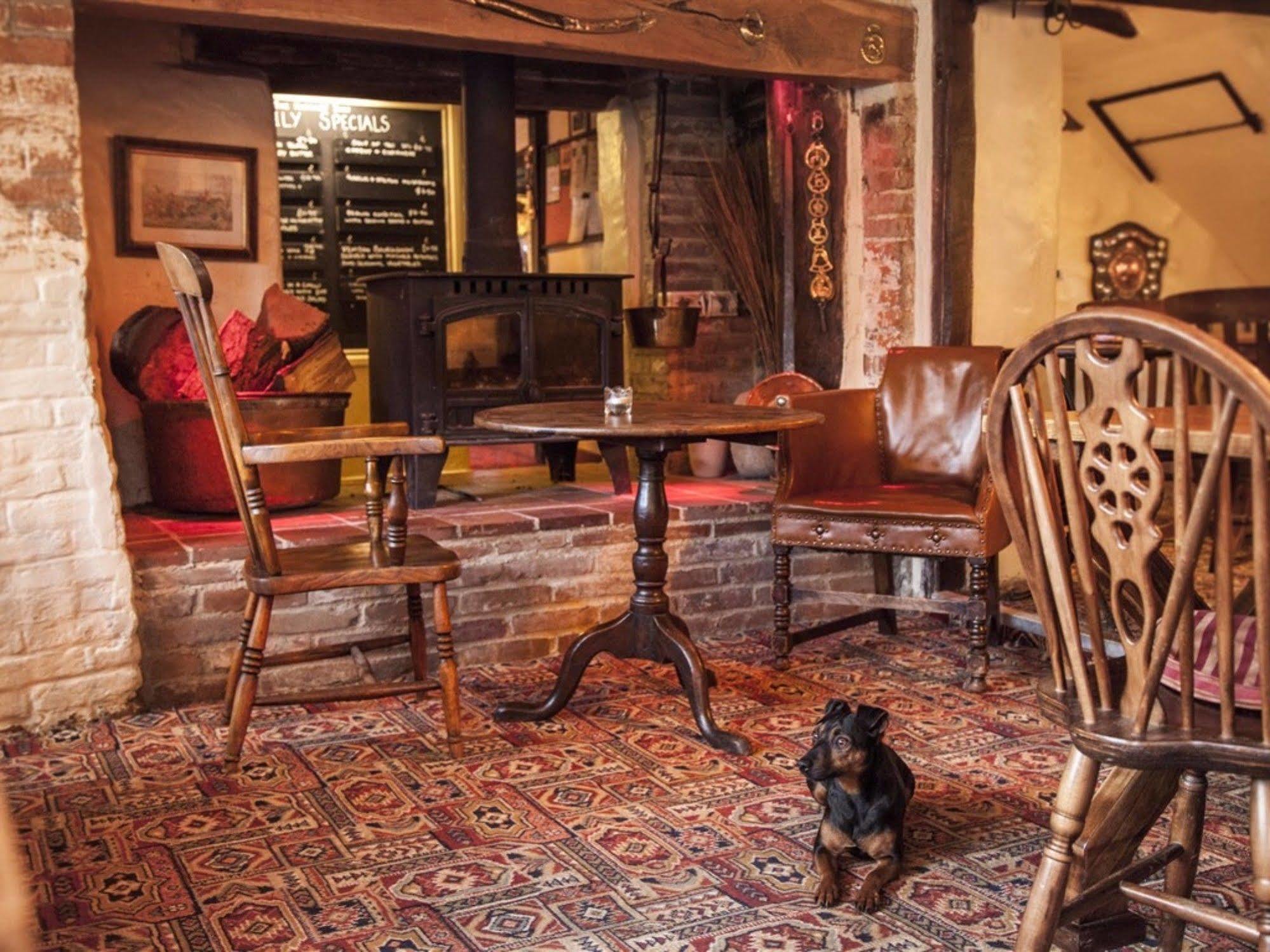 The Hatchet Inn Chute Eksteriør billede